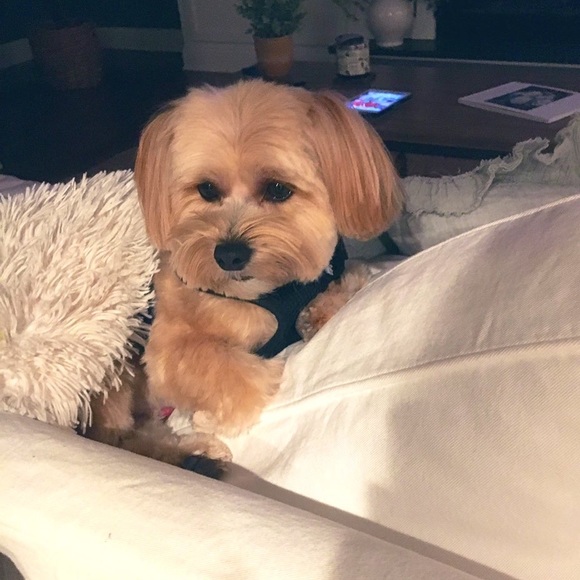 ❤️ - Picture 6 of 14